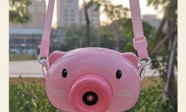 抖音网红小猪,萌态可掬的短视频达人