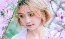 樱洛小姐姐,青春校园的璀璨星辰