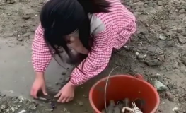 土地土地土图图小姐姐,探寻土地小姐姐的神秘魅力