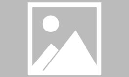 小姐姐翻唱狮子王